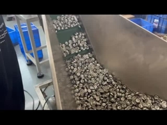 Zmierzony zawór aerosołowy zawór aerosołowy zmierzający 1 cala plastikowy zmierzony zawór 1 cala zmierzony va