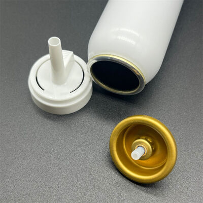 kupować Universal Fit Aerosol Hair Mousse Accessory for OEM Branding z dostosowalną czapką i aktywatorem produkcja online