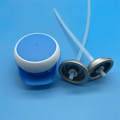 kupować Zawór do czyszczenia butów i skarpet dla profesjonalnych linii produktów do pielęgnacji obuwia do codziennego usuwania zapachu produkcja online