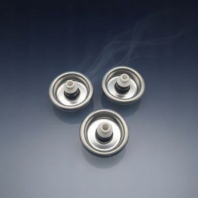 kupować Jednocalowy krótki trzonek zaworu aerozolowego z pianki PU odpornej na zatykanie do zastosowań wysokociśnieniowych produkcja online