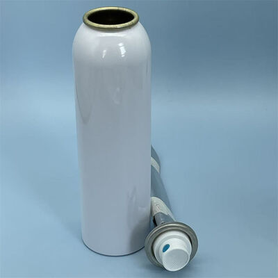 kupować Premium żeński system Aerosol Bag-on-Valve z zaawansowaną technologią sterylnej bariery do wysokowydajnych zastosowań w sprayu produkcja online