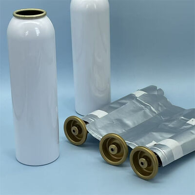 Profesjonalny system aerozolowy typu Bag-on-Valve dla kobiet ze zwiększoną kontrolą sterylności